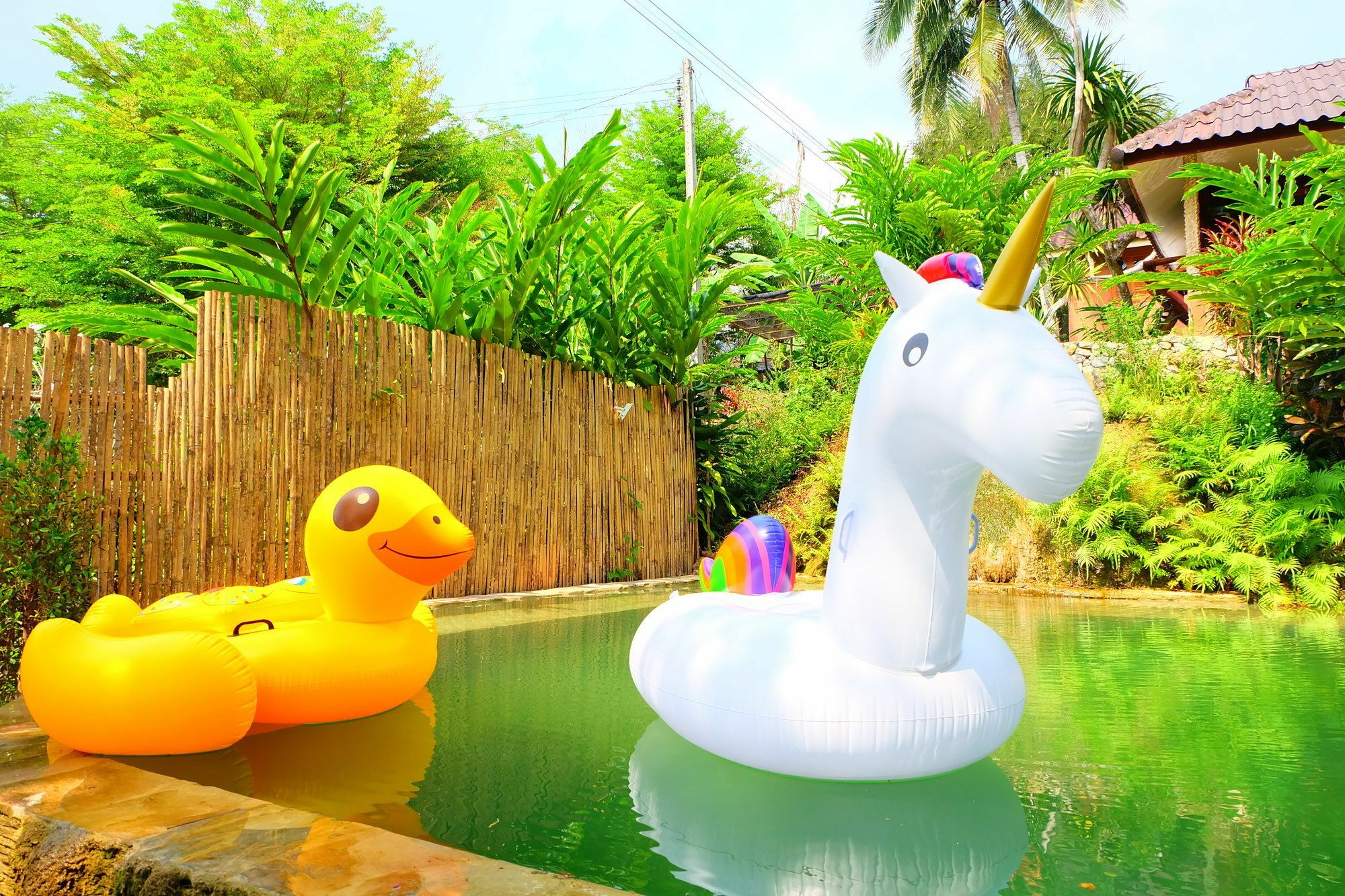 In My Dream Resort Ban Huai Maenam Noi Extérieur photo